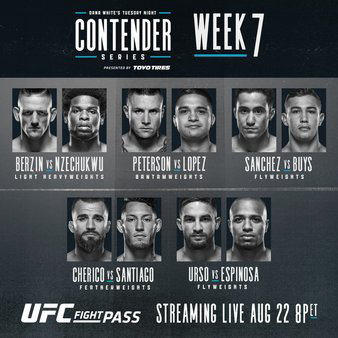 DW's Contender Series 2017: Week 7