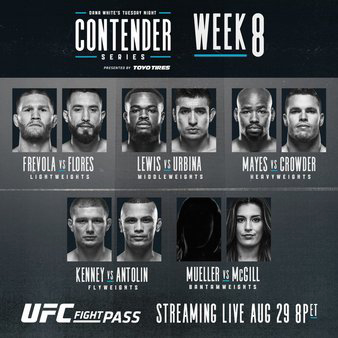 DW's Contender Series 2017: Week 8