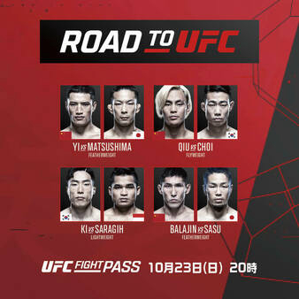 Road to UFC 5: Abu Dhabi