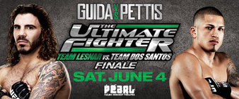 The Ultimate Fighter 13 Finale