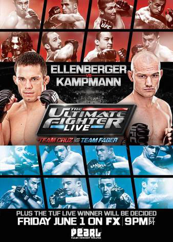 The Ultimate Fighter 15 Finale