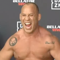 Wanderlei Silva